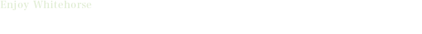 イエローナイフを満喫しよう！